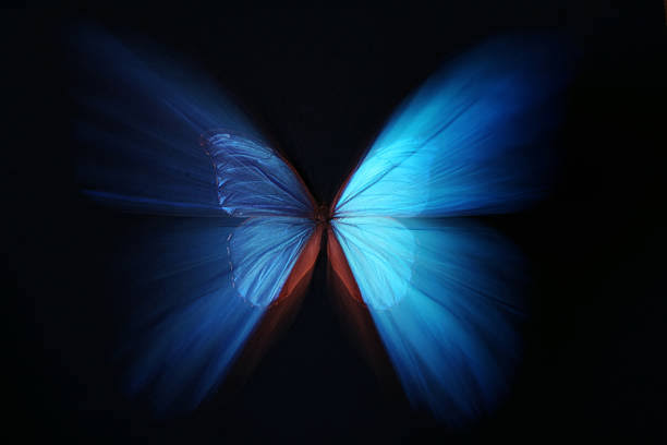 The Butterfly Effect: Everything You Do Matters - FHM Pakistan